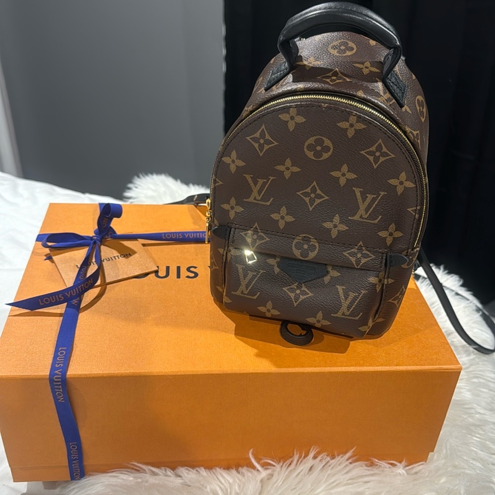 Authentic LV Palm Springs Mini